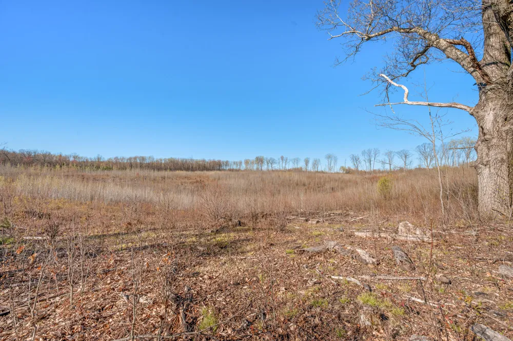 16107 12 Mile Road Cedar Township, MI 49655