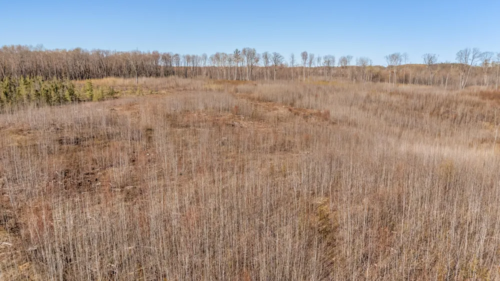 16107 12 Mile Road Cedar Township, MI 49655