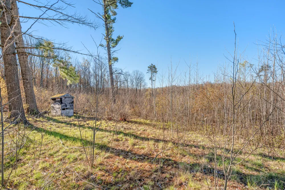 16107 12 Mile Road Cedar Township, MI 49655