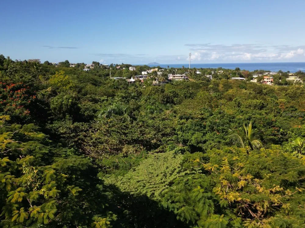 CARR 413 KM 4.4 Rincon, PR 00677
