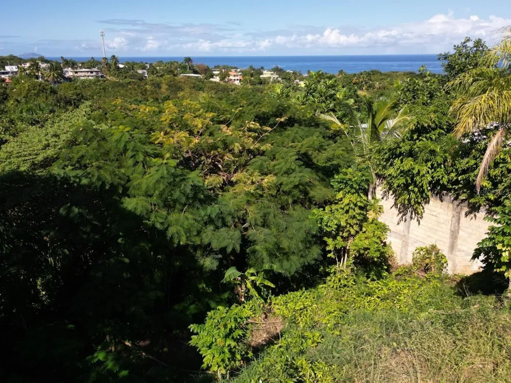 CARR 413 KM 4.4 Rincon, PR 00677