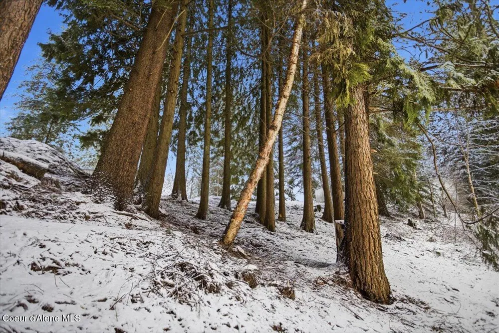 Lot 4 Hidden Harbor Lane Sandpoint, ID 83864
