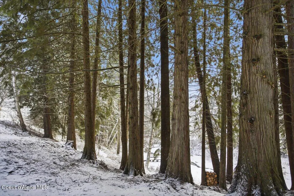 Lot 4 Hidden Harbor Lane Sandpoint, ID 83864