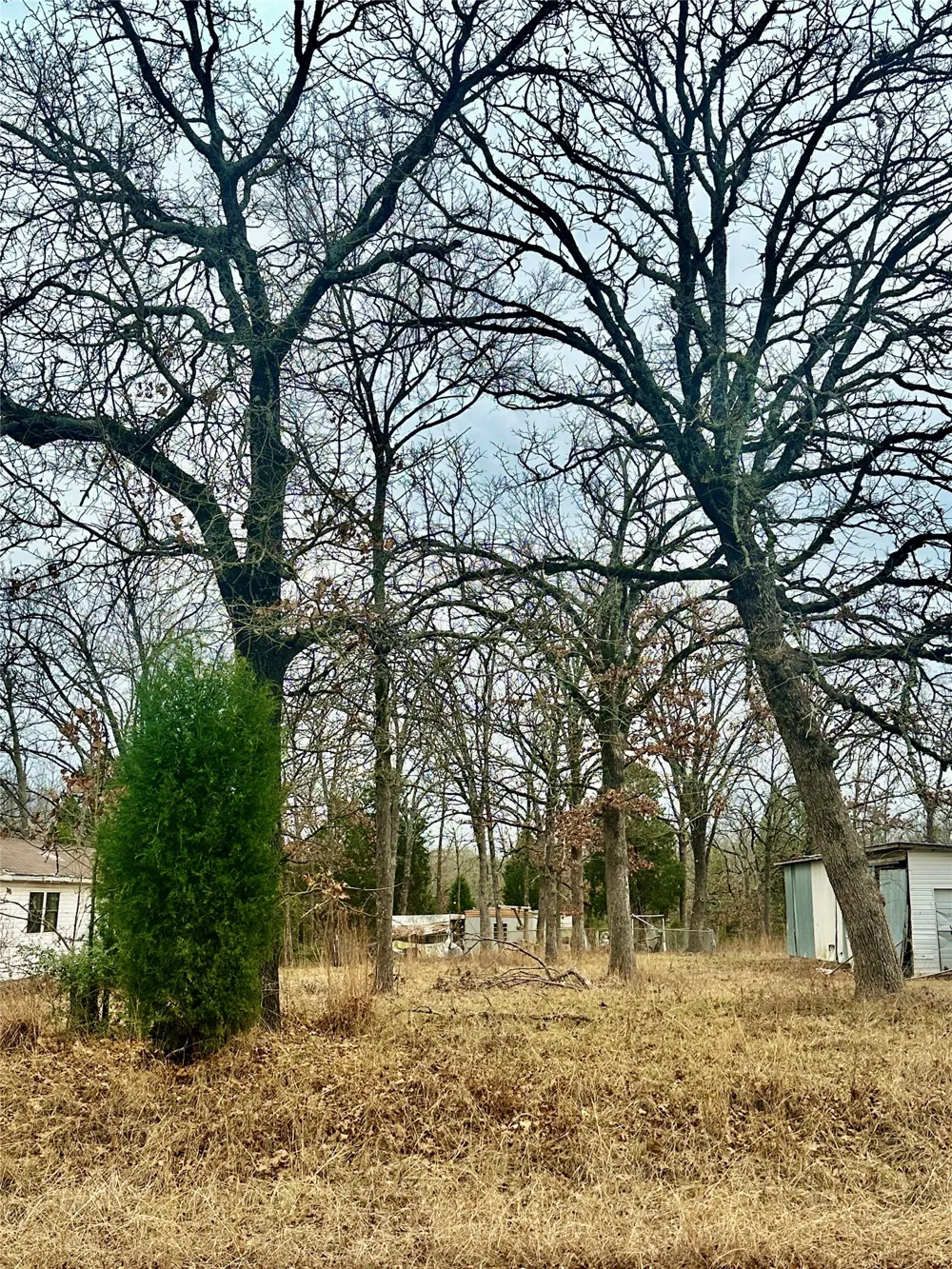 14543 San Jacinto Drive Log Cabin, TX 75148