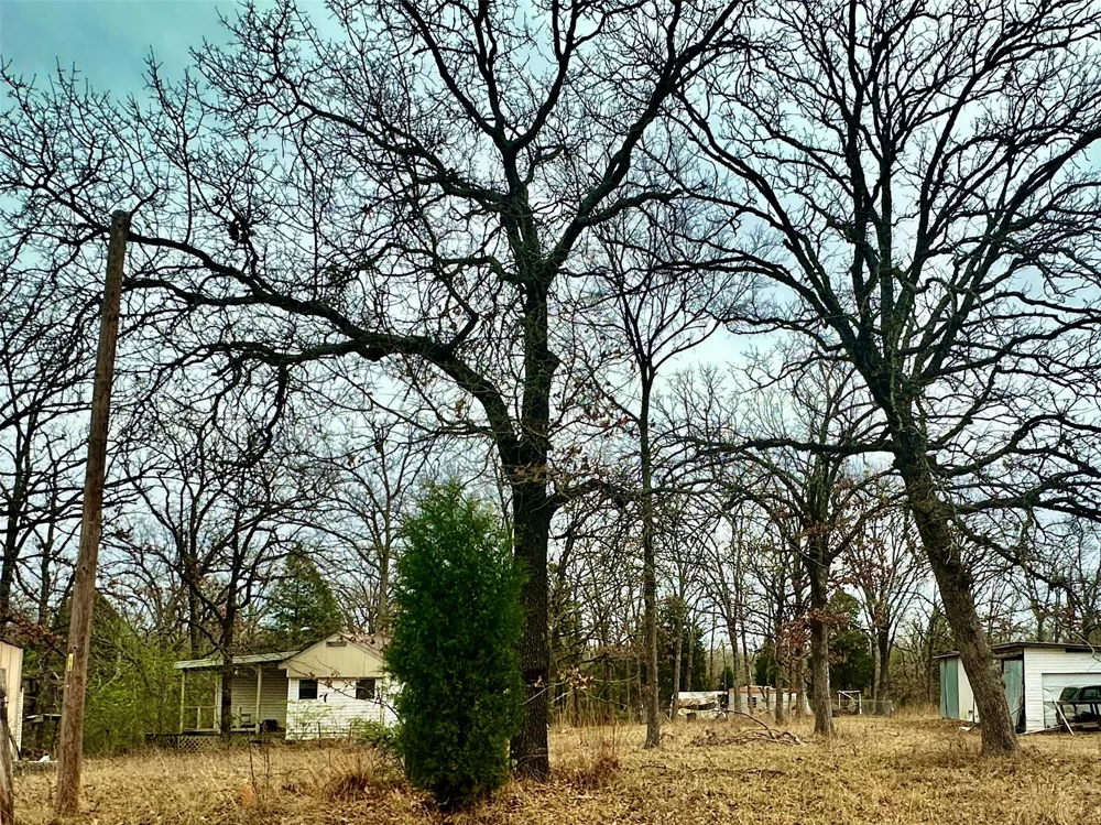 14543 San Jacinto Drive Log Cabin, TX 75148