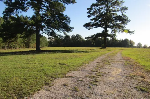 Hwy 190 East E
