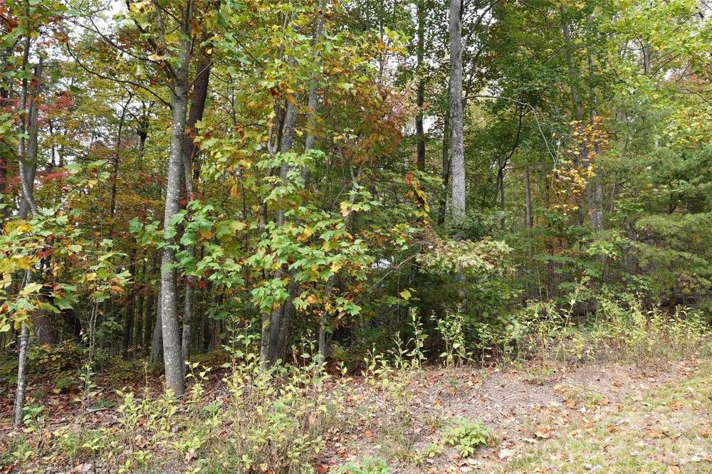 100 Sunset Drive Bostic, NC 28018