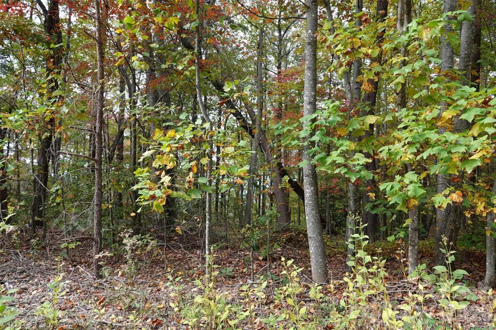 100 Sunset Drive Bostic, NC 28018