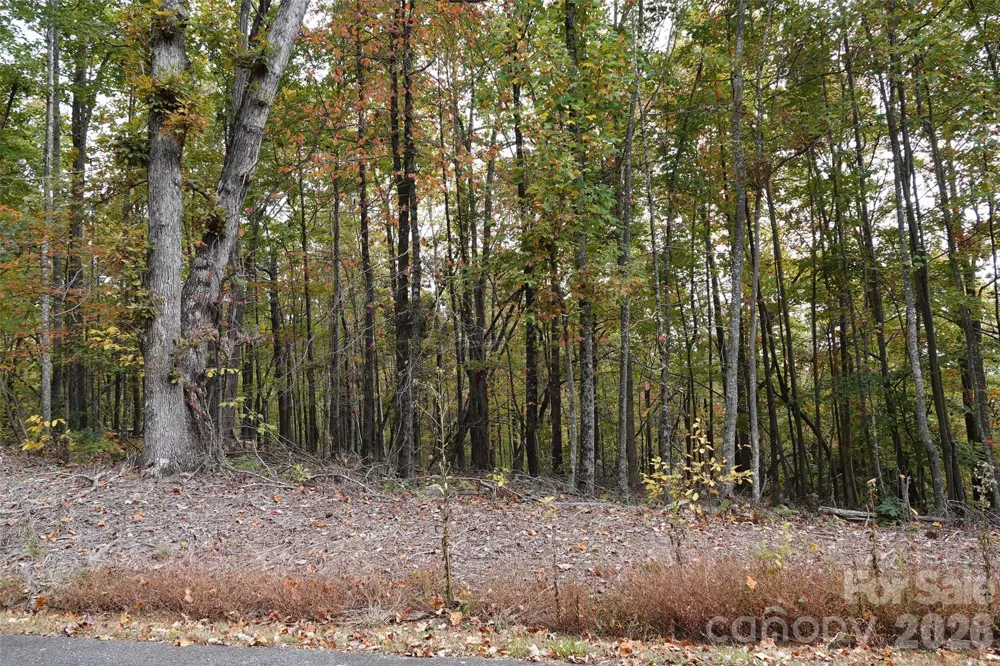 100 Sunset Drive Bostic, NC 28018