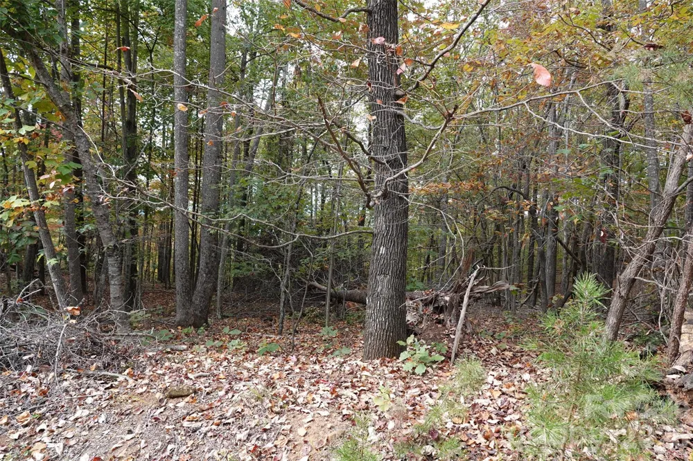 100 Sunset Drive Bostic, NC 28018