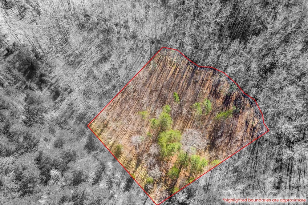 0 Riding Ring Drive #12 Ellenboro, NC 28040