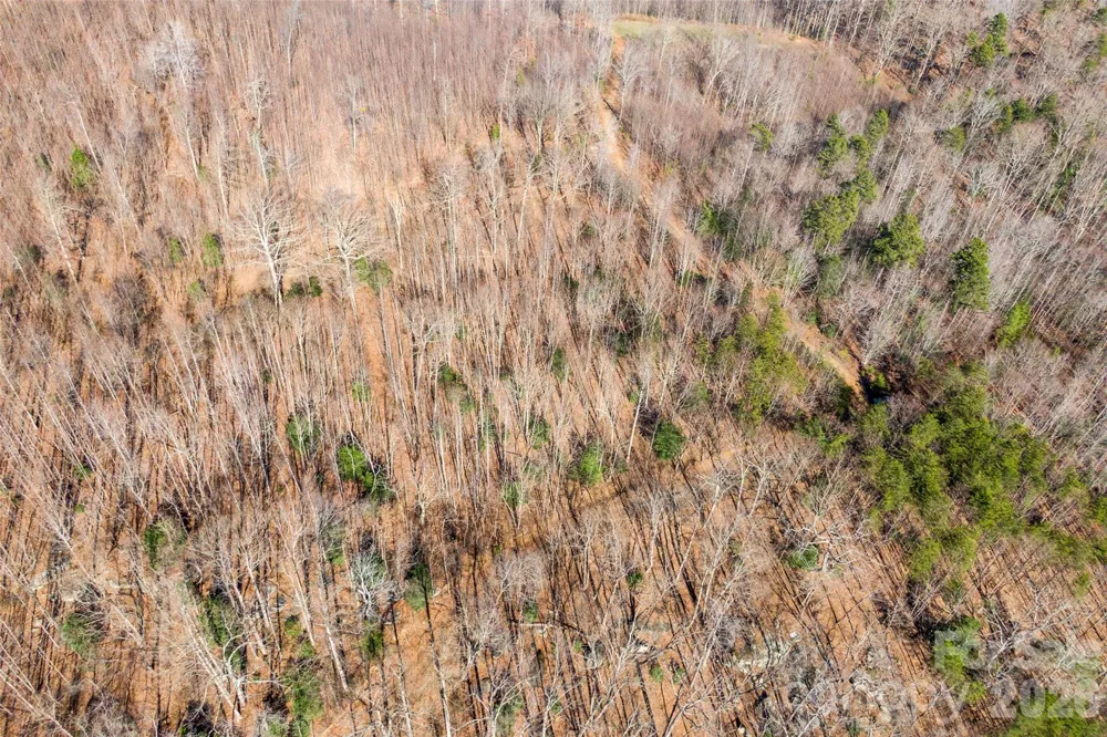 0 Ashe Drive #28A Ellenboro, NC 28040