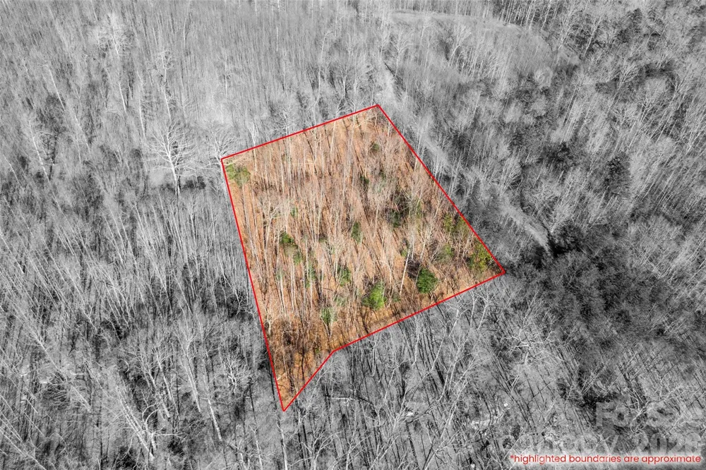 0 Ashe Drive #28A Ellenboro, NC 28040
