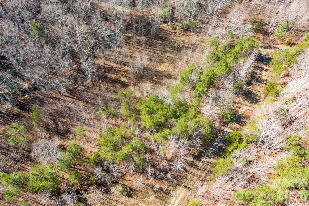 0 Riding Ring Drive #10 Ellenboro, NC 28040