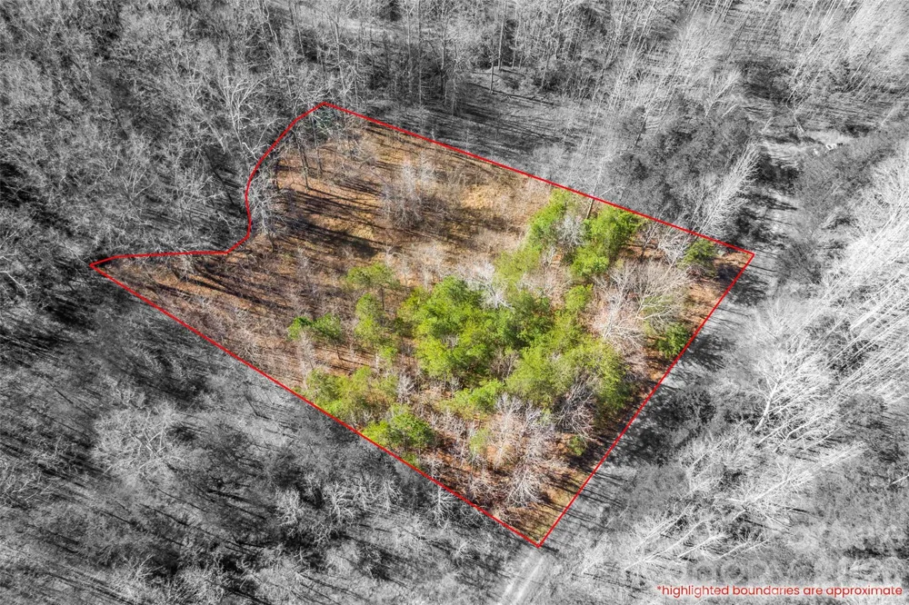 0 Riding Ring Drive #10 Ellenboro, NC 28040