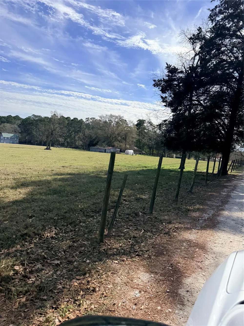 Forest Trace Road Richards, TX 77873