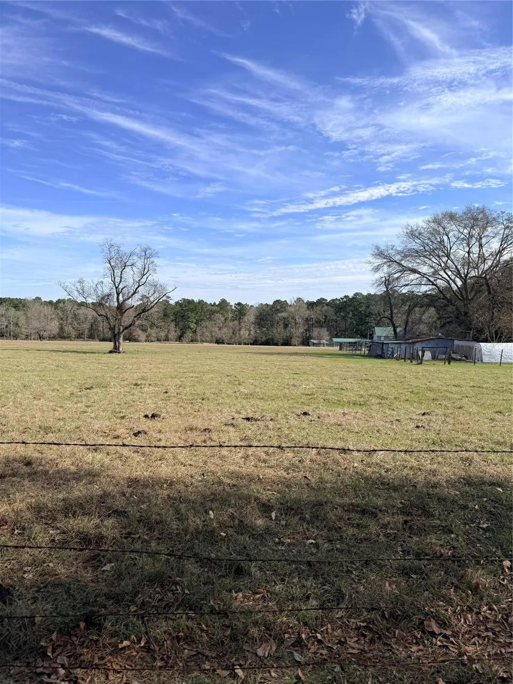 Forest Trace Road Richards, TX 77873
