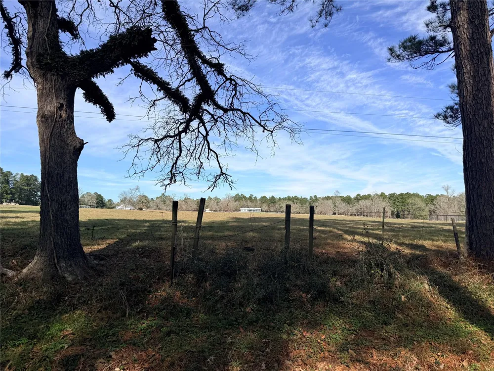 Forest Trace Road Richards, TX 77873