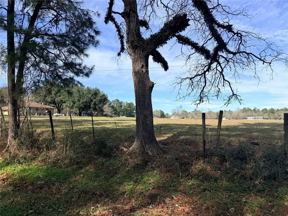 Forest Trace Road Richards, TX 77873