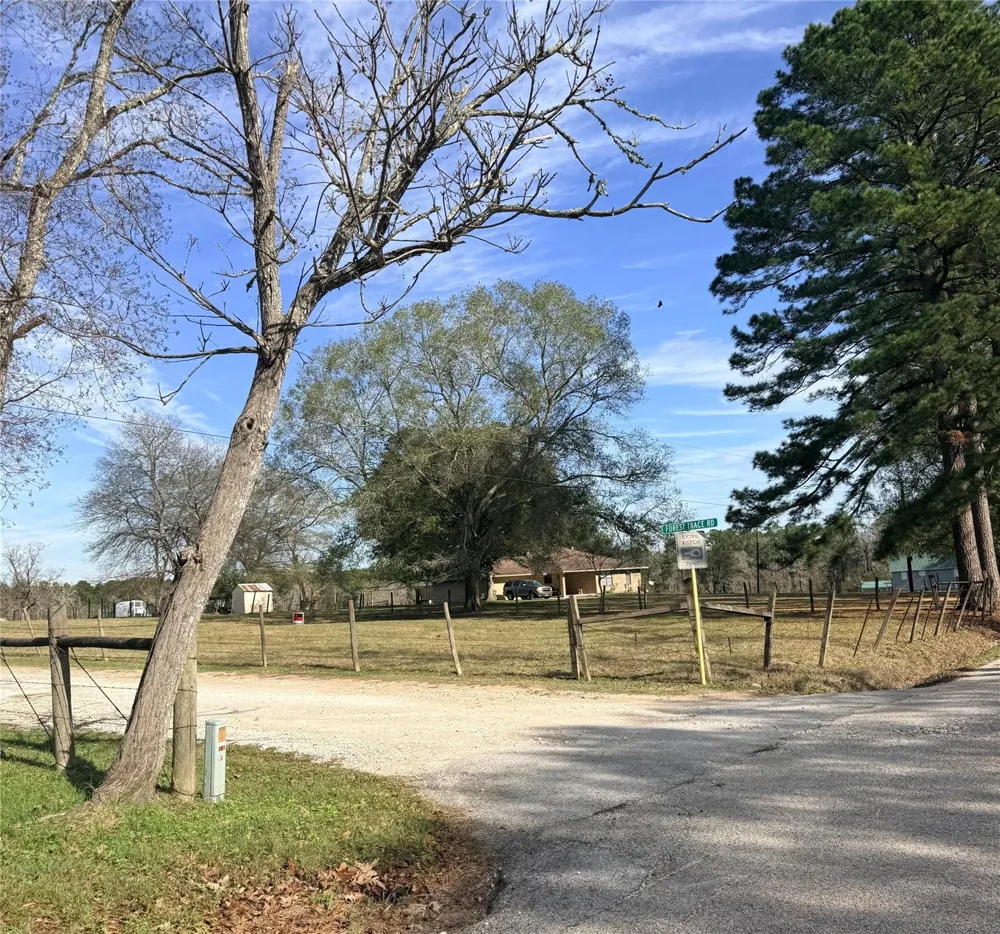 Forest Trace Road Richards, TX 77873
