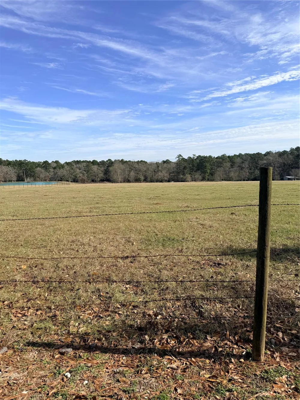 Forest Trace Road Richards, TX 77873
