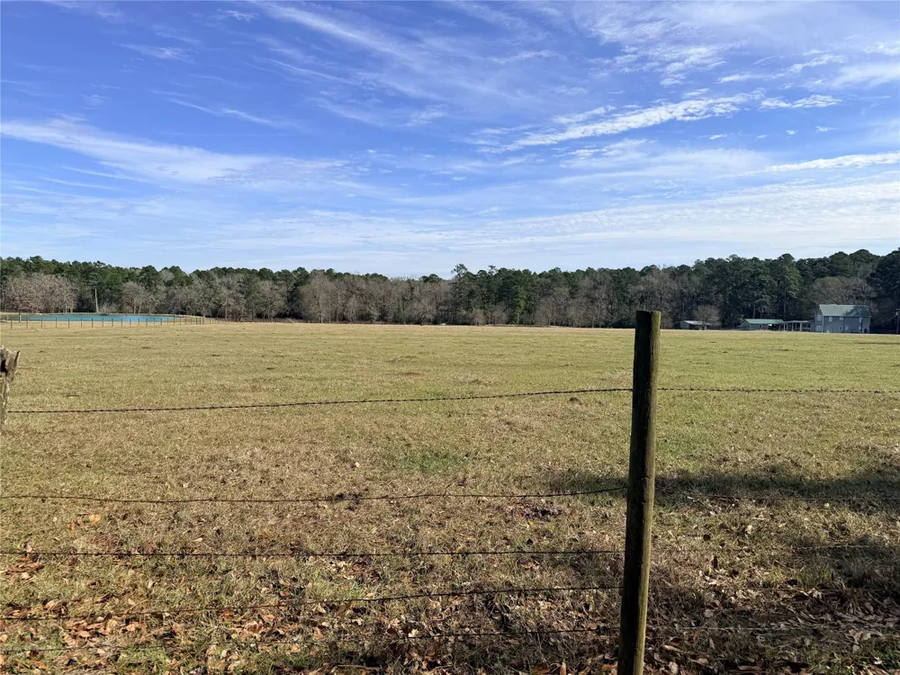 Forest Trace Road Richards, TX 77873