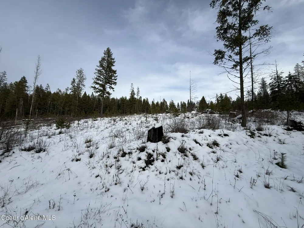 NKA Janes Lane St. Maries, ID 83861