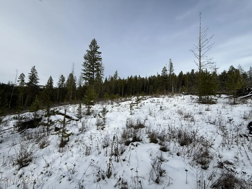 NKA Janes Lane St. Maries, ID 83861