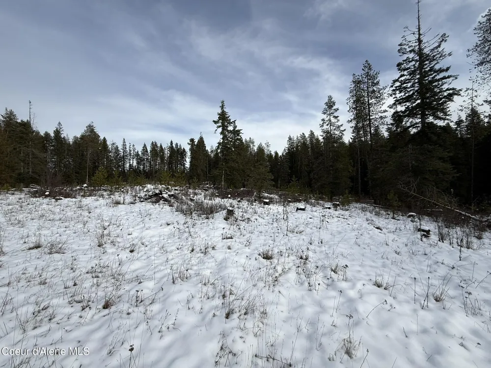 NKA Janes Lane St. Maries, ID 83861