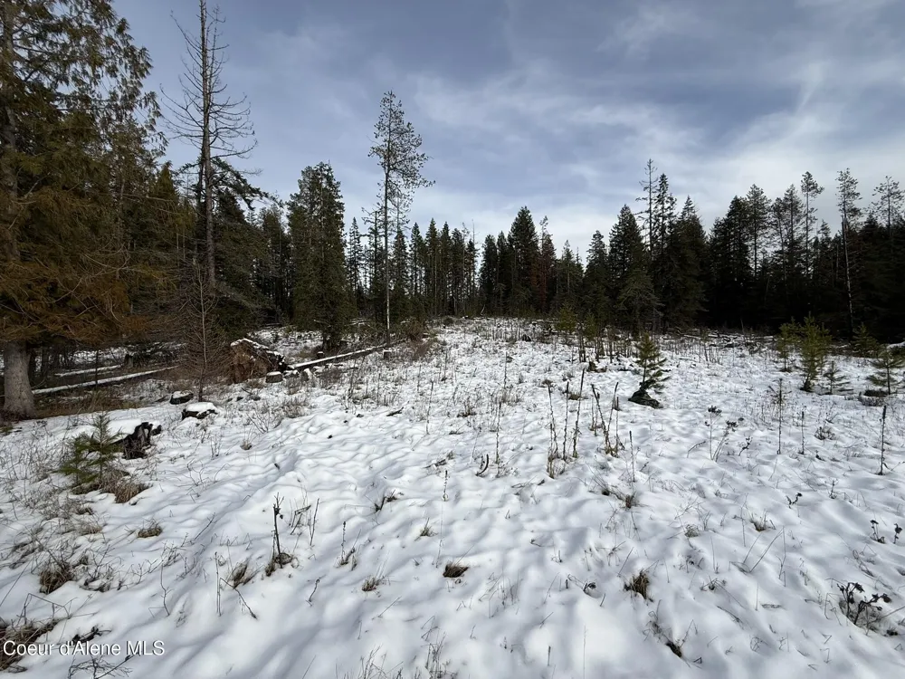 NKA Janes Lane St. Maries, ID 83861