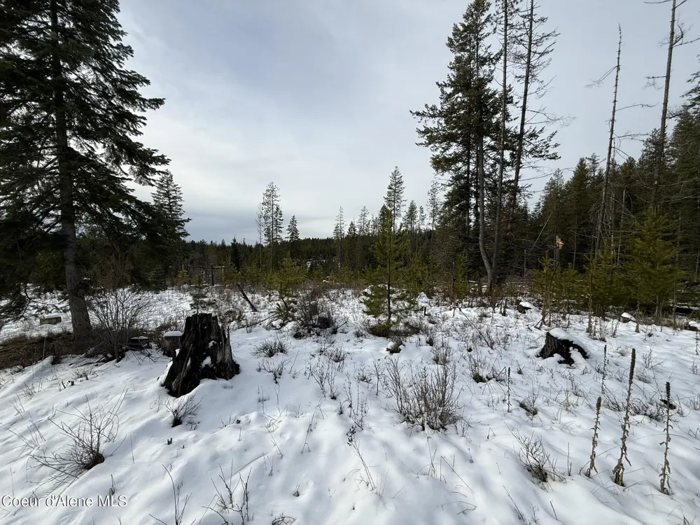 NKA Janes Lane St. Maries, ID 83861
