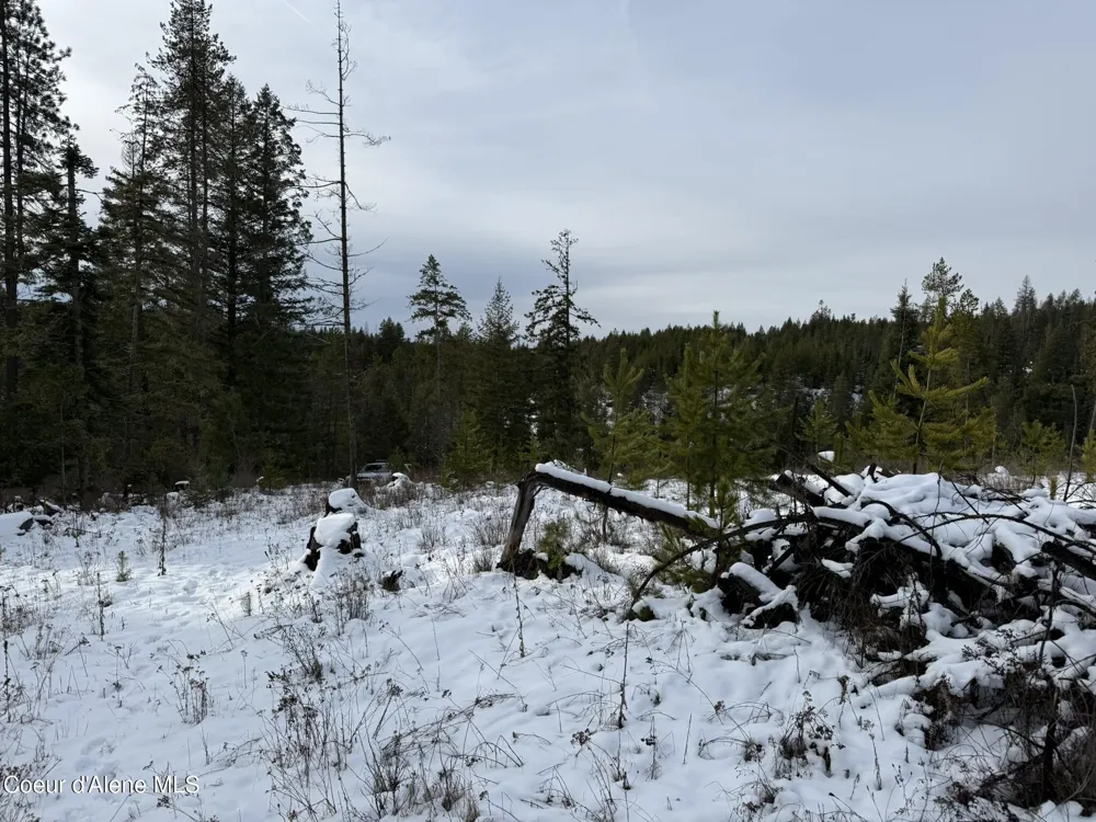 NKA Janes Lane St. Maries, ID 83861