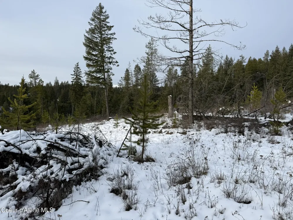 NKA Janes Lane St. Maries, ID 83861