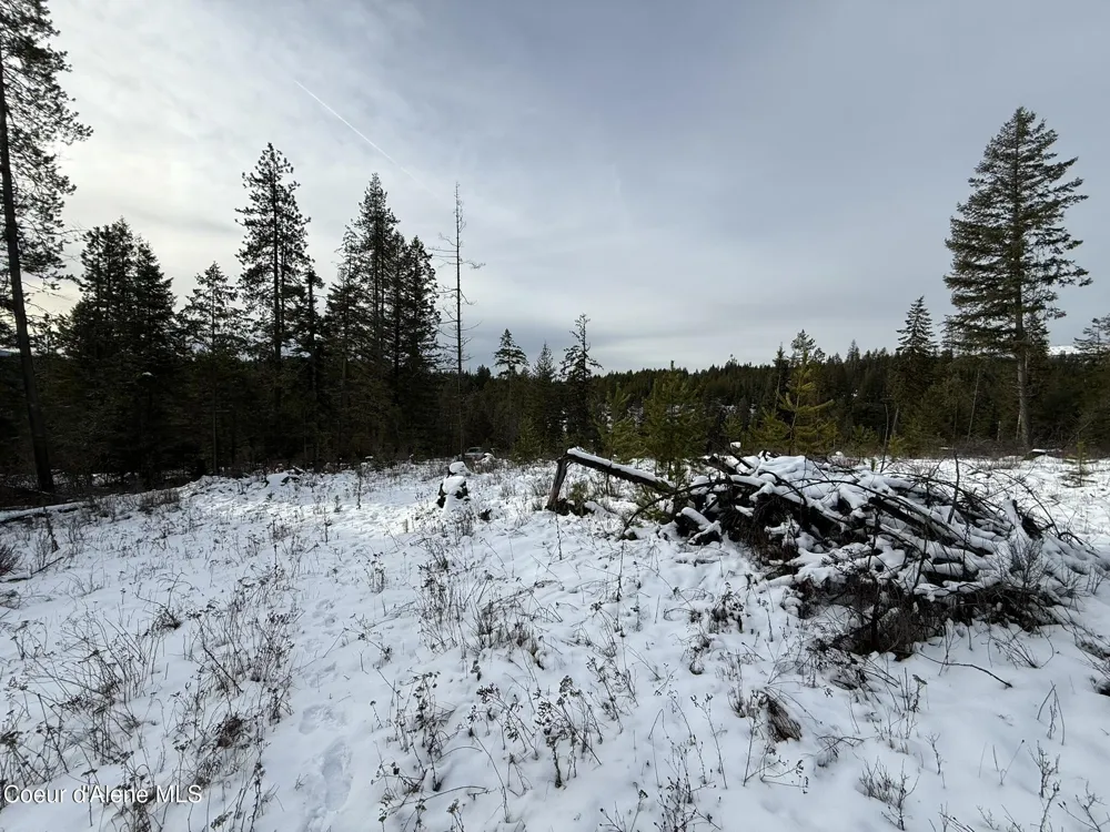 NKA Janes Lane St. Maries, ID 83861