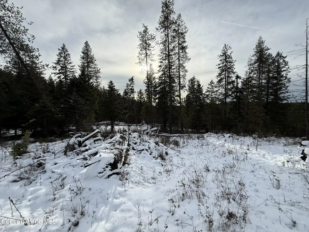 NKA Janes Lane St. Maries, ID 83861