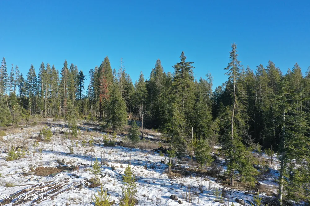 NKA Janes Lane St. Maries, ID 83861
