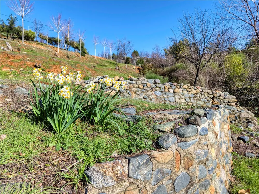 11180 Rose Anderson Middletown, CA 95461
