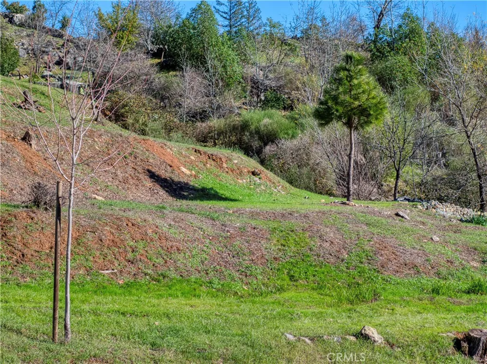 11180 Rose Anderson Middletown, CA 95461