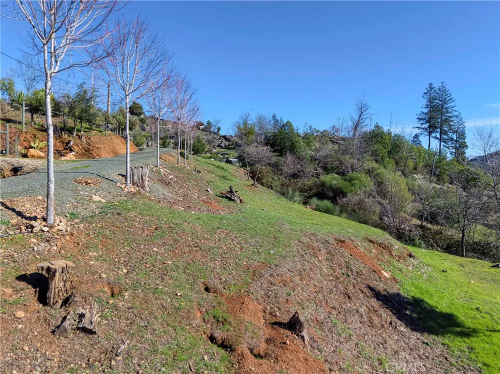 11180 Rose Anderson Middletown, CA 95461