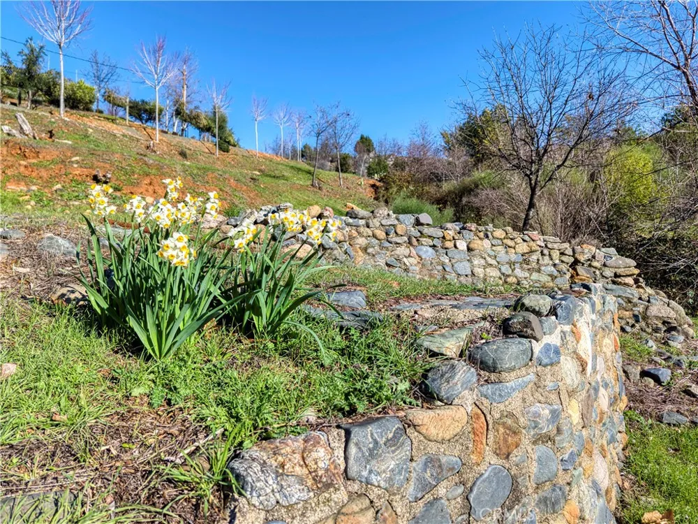 11180 Rose Anderson Middletown, CA 95461