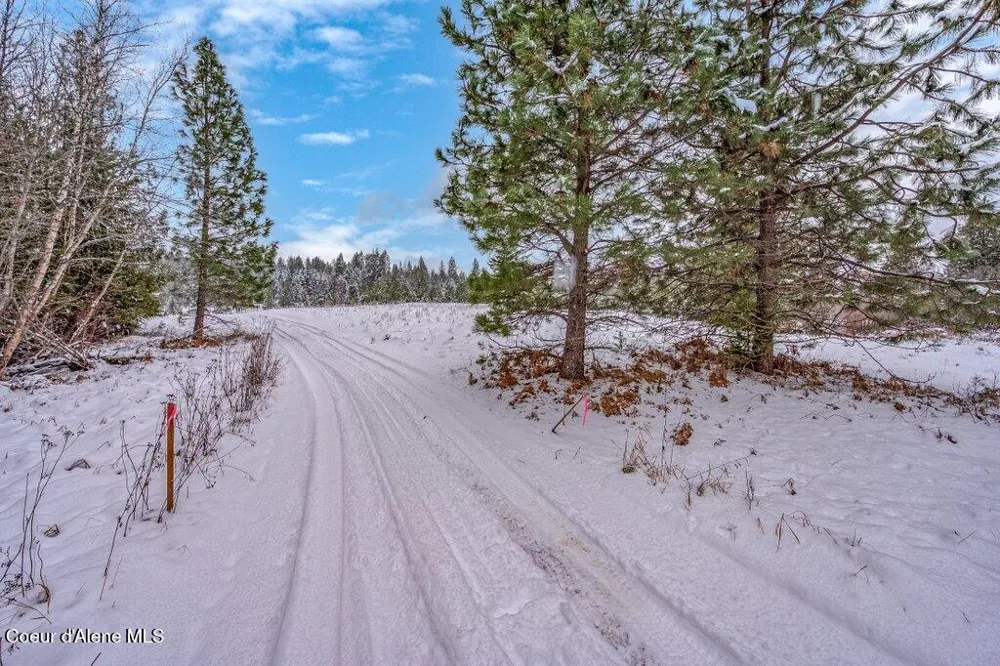 NNA Lot 1 Schneiders Road Sagle, ID 83860