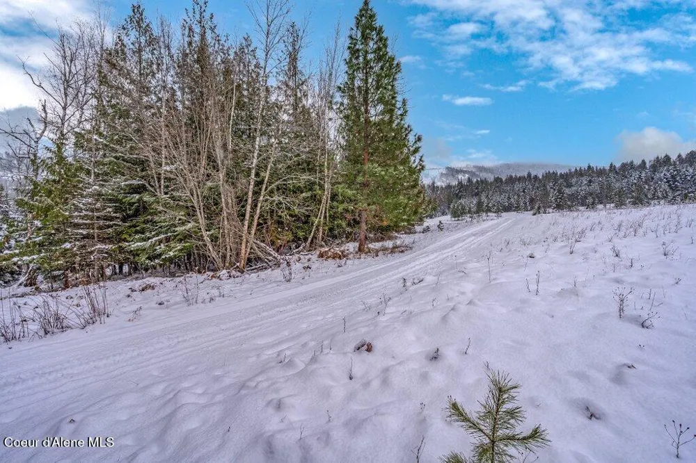 NNA Lot 1 Schneiders Road Sagle, ID 83860