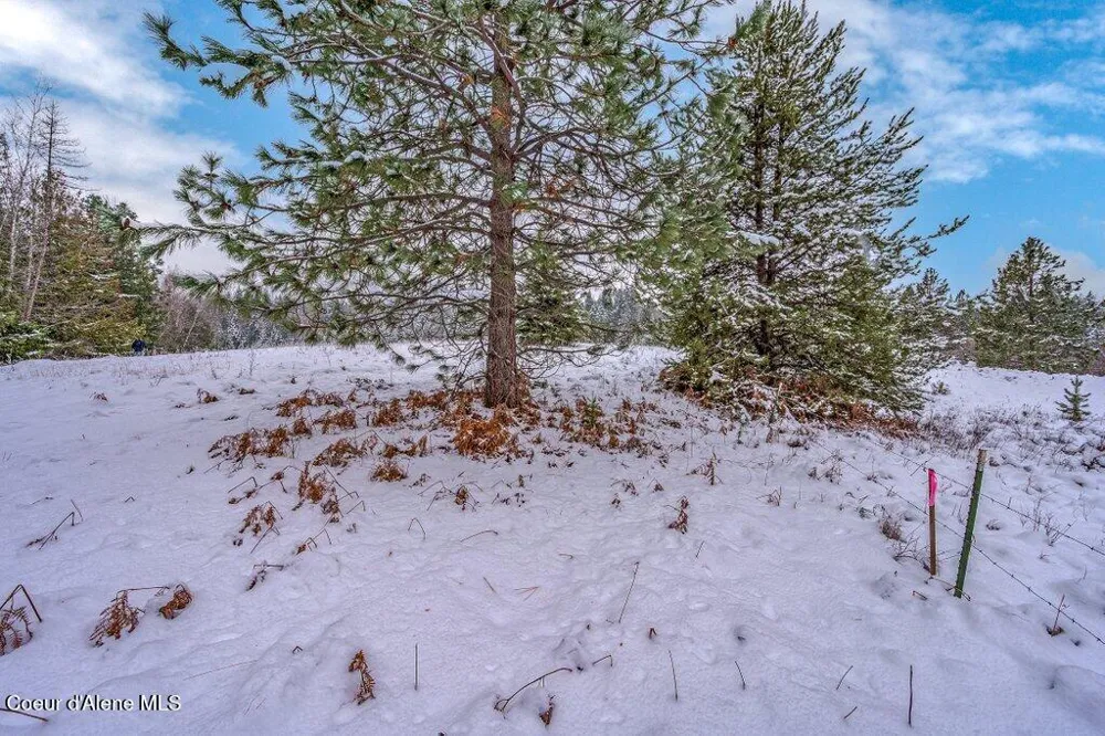 NNA Lot 1 Schneiders Road Sagle, ID 83860