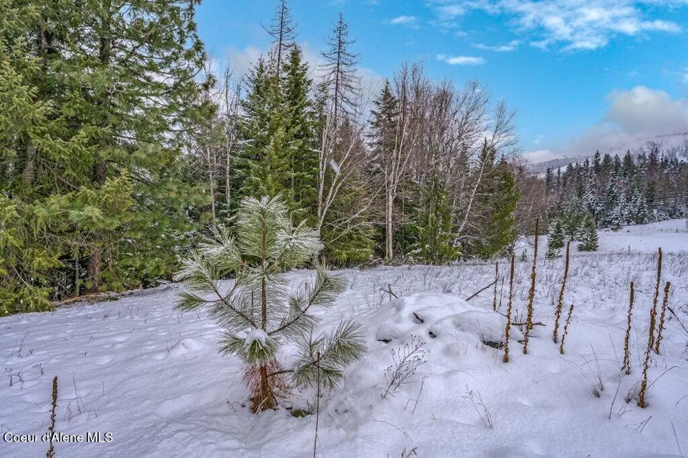 NNA Lot 1 Schneiders Road Sagle, ID 83860