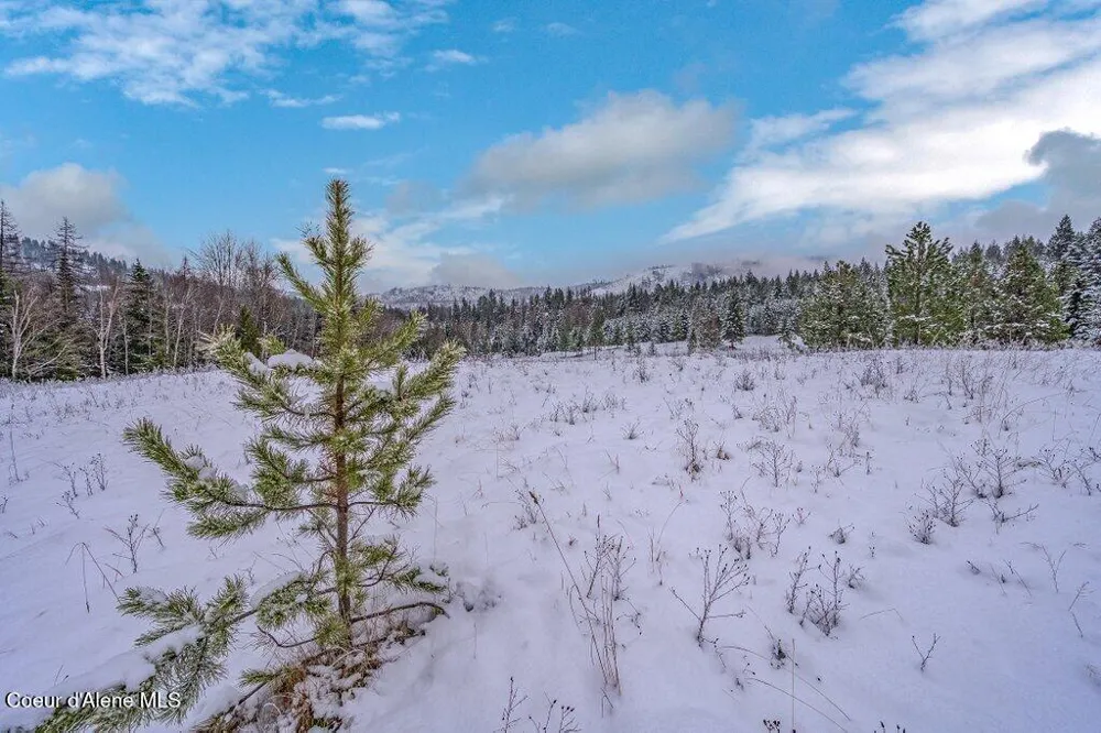 NNA Lot 1 Schneiders Road Sagle, ID 83860