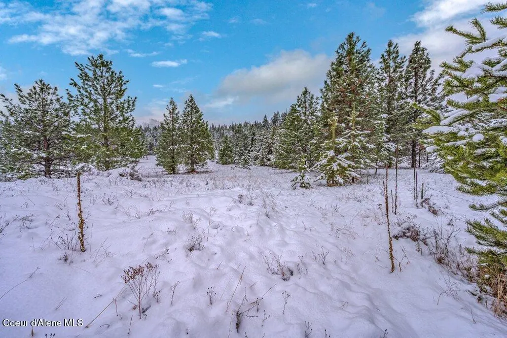 NNA Lot 1 Schneiders Road Sagle, ID 83860