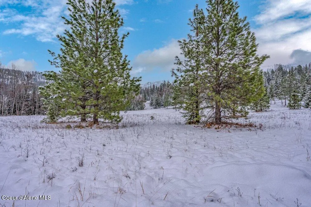 NNA Lot 1 Schneiders Road Sagle, ID 83860