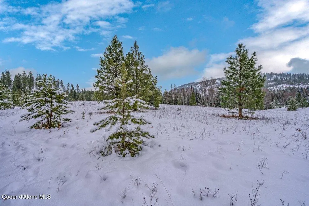 NNA Lot 1 Schneiders Road Sagle, ID 83860