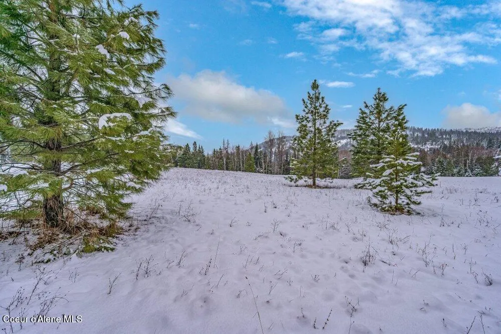NNA Lot 1 Schneiders Road Sagle, ID 83860