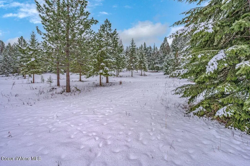 NNA Lot 1 Schneiders Road Sagle, ID 83860